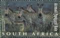 Colnect-2220-825-Cape-Mountain-zebras.jpg