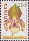 Colnect-3818-809-Cypripedium-margaritaceum.jpg