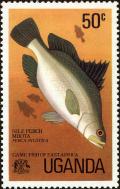 Colnect-4266-456-Nile-Perch-Lates-niloticus.jpg