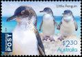 Colnect-5806-494-Little-Penguin-Eudyptula-minor.jpg