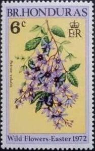 Colnect-1093-356-Petrea-volubilis.jpg