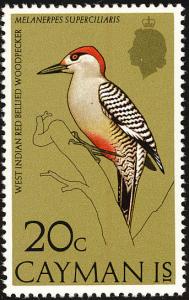 Colnect-1460-742-West-Indian-Woodpecker-Melanerpes-superciliaris-.jpg