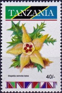 Colnect-4569-694-Stapelia-semota-lutea.jpg