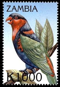 Colnect-3507-621-Black-capped-Lory%C2%A0-%C2%A0Lorius-lory.jpg