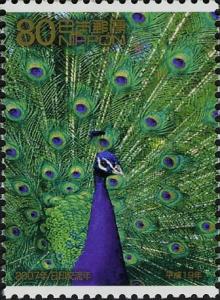 Colnect-4007-565-Indian-Peafowl-Pavo-cristatus.jpg