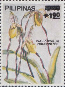 Colnect-2859-253-Paphiopedilum-philippinense.jpg