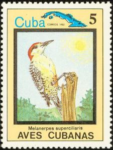 Colnect-3564-325-West-Indian-Woodpecker-Melanerpes-superciliaris.jpg