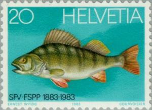 Colnect-140-807-European-Perch-Perca-fluviatilis.jpg