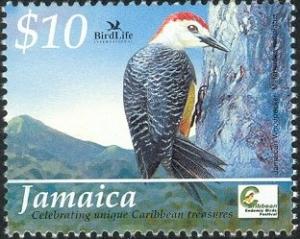 Colnect-1615-305-Jamaican-Woodpecker-Melanerpes-radiolatus.jpg