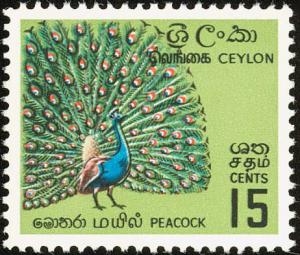 Colnect-1839-646-Indian-Peafowl-Pavo-cristatus.jpg