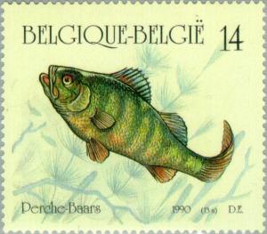 Colnect-186-565-European-Perch-Perca-fluviatilis.jpg