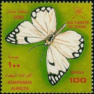 Colnect-1899-655-African-Caper-White-Anaphaeis-aurota.jpg