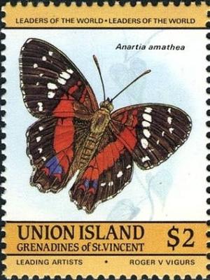 Colnect-2279-929-Scarlet-Peacock-Anartia-amathea.jpg