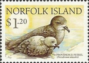 Colnect-2778-760-Providence-Petrel-Pterodroma-solandri.jpg