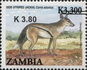 Colnect-3051-506-Side-striped-Jackal-Canis-adustus.jpg