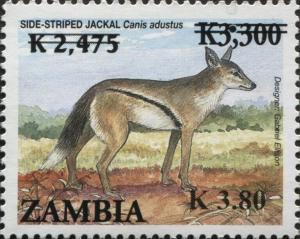 Colnect-3051-569-Side-striped-Jackal-Canis-adustus.jpg