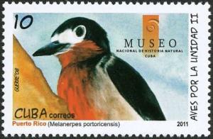 Colnect-3661-837-Puerto-Rican-Woodpecker%C2%A0Melanerpes-portoricensis.jpg