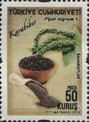 Colnect-5612-517-Black-Pepper-Piper-nigrum-L.jpg