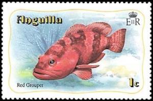 Colnect-616-024-Red-Grouper-Epinephelus-morio-.jpg