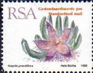 Colnect-829-646-Stapelia-grandiflora.jpg