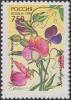 Colnect-1830-109-Sweet-peas-Lathyrus-odoratus.jpg