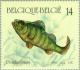 Colnect-186-565-European-Perch-Perca-fluviatilis.jpg