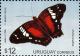 Colnect-2043-612-Scarlet-Peacock-Anartia-amathea.jpg