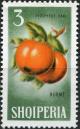 Colnect-2317-679-Japanese-Persimmon-Diospyros-kaki.jpg