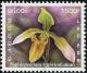 Colnect-2622-353-Paphiopedilum-appletonianum.jpg