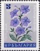 Colnect-3383-863-Petunia-hibride.jpg