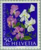 Colnect-140-111-Sweet-Pea-Lathyrus-odoratus.jpg