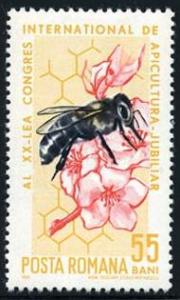 Skap-romania_12_bee.jpg-crop-190x315at7-2.jpg