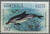 Colnect-1836-162-Striped-Dolphin-Stenella-caeruleoalba.jpg