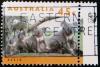 Colnect-2507-931-Koala-Phascolarctos-cinereus.jpg