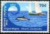 Colnect-3140-254-Striped-dolphin-Stenella-coeruleoalba.jpg