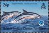 Colnect-3658-025-Striped-Dolphin-Stenella-coeruleoalba.jpg