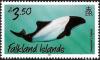 Colnect-3910-293-Commerson--s-Dolphin-Cephalorhynchus-commersonii.jpg