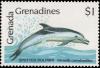 Colnect-6014-134-Striped-Dolphin-Stenella-caeruleoalba.jpg