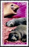 Colnect-888-686-Southern-Elephant-Seal-Mirounga-leonina.jpg