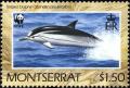 Colnect-1785-658-Striped-Dolphin-Stenella-coeruleoalba.jpg