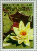 Colnect-184-986-Nymphea-azalia-indica.jpg