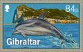 Colnect-2166-440-Striped-Dolphin-Stenella-coeruleoalba.jpg