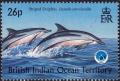 Colnect-3658-025-Striped-Dolphin-Stenella-coeruleoalba.jpg