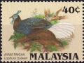 Colnect-5091-598-Bulwer-s-Pheasant-Lophura-bulweri.jpg