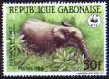 Colnect-551-301-African-Forest-Elephant-Loxodonta-africana-cyclotis.jpg