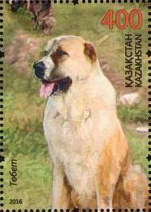 Colnect-4445-402-Central-Asian-Shepherd-Dog-Canis-lupus-familiaris.jpg