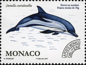 Colnect-1146-440-Striped-Dolphin-Stenella-coeruleoalba.jpg