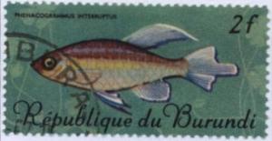 Colnect-1320-961-Congo-Tetra-Phenacogrammus-interruptus-.jpg