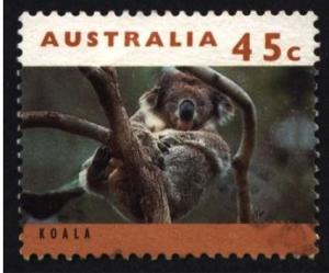 Colnect-1472-372-Koala-Phascolarctos-cinereus.jpg