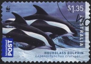 Colnect-1537-963-Hourglass-Dolphin--Lagenorhynchus-cruciger.jpg